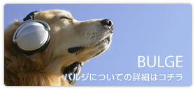 BULGE